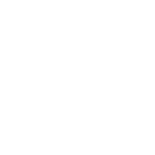 Sang's French Steel